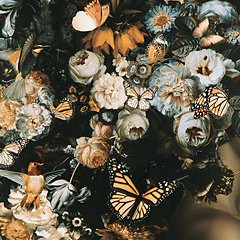 Valfer Wall Art - Imperial Furniture (Las Vegas, NV) - Multi Location