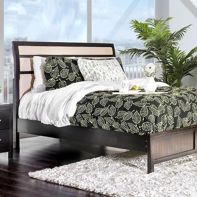 Berenice Bed Purple Brown - Imperial Furniture (Las Vegas, NV) - Multi Location