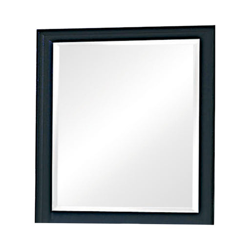 Sandy Beach Vertical Dresser Mirror Black - Imperial Furniture (Las Vegas, NV) - Multi Location