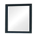 Sandy Beach Vertical Dresser Mirror Black - Imperial Furniture (Las Vegas, NV) - Multi Location