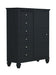 Sandy Beach Door Chest with Concealed Storage Black - Imperial Furniture (Las Vegas, NV) - Multi Location