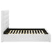 Felicity Beds - Imperial Furniture (Las Vegas, NV) - Multi Location