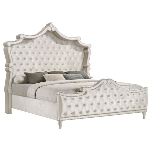 Antonella Queen Beds - Imperial Furniture (Las Vegas, NV) - Multi Location