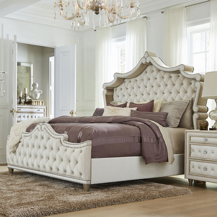 Antonella Beds - Imperial Furniture (Las Vegas, NV) - Multi Location