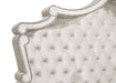Antonella Beds - Imperial Furniture (Las Vegas, NV) - Multi Location