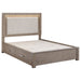 Kenora California King, E.king, & Queen Bed - Imperial Furniture (Las Vegas, NV) - Multi Location
