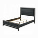 Haiden Queen Bed With Led - Imperial Furniture (Las Vegas, NV) - Multi Location
