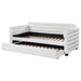 Patricia Daybed - Imperial Furniture (Las Vegas, NV) - Multi Location