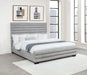 Patricia Beds - Imperial Furniture (Las Vegas, NV) - Multi Location
