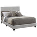 Dorian Beds - Imperial Furniture (Las Vegas, NV) - Multi Location