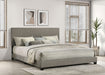 Dorian Panel Beds - Imperial Furniture (Las Vegas, NV) - Multi Location