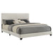 Dorian Panel Beds - Imperial Furniture (Las Vegas, NV) - Multi Location