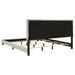 Dorian Beds 2 - Imperial Furniture (Las Vegas, NV) - Multi Location