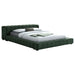 Trinity California King, E.king, Queen, & Full Bed Green & Light Taupe - Imperial Furniture (Las Vegas, NV) - Multi Location