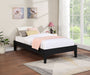 Hounslow Universal Platform Bed - Imperial Furniture (Las Vegas, NV) - Multi Location