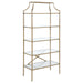 Serena 5-tier Tempered Glass Shelves Bookcase Matte Gold - Imperial Furniture (Las Vegas, NV) - Multi Location