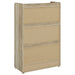 Denia Shoe Cabinet - Imperial Furniture (Las Vegas, NV) - Multi Location