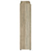 Denia Shoe Cabinet - Imperial Furniture (Las Vegas, NV) - Multi Location