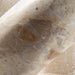 Kenport Sculpture - Imperial Furniture (Las Vegas, NV) - Multi Location