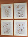 Chettings Wall Art (Set of 4) - Imperial Furniture (Las Vegas, NV) - Multi Location