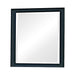 Sandy Beach Vertical Dresser Mirror Black - Imperial Furniture (Las Vegas, NV) - Multi Location