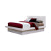 Jessica California King, E.king, & Queen Bed with Storage Headboard Cappuccino - Imperial Furniture (Las Vegas, NV) - Multi Location