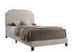 Tamarac Upholstered Nailhead Full, Eastern King & Queen Bed Beige & Grey - Imperial Furniture (Las Vegas, NV) - Multi Location