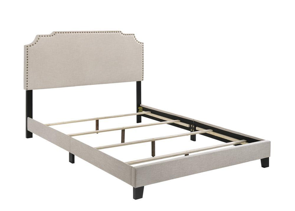 Tamarac Upholstered Nailhead Full, Eastern King & Queen Bed Beige & Grey - Imperial Furniture (Las Vegas, NV) - Multi Location
