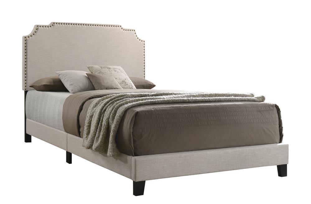 Tamarac Upholstered Nailhead Full, Eastern King & Queen Bed Beige & Grey - Imperial Furniture (Las Vegas, NV) - Multi Location