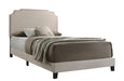 Tamarac Upholstered Nailhead Full, Eastern King & Queen Bed Beige & Grey - Imperial Furniture (Las Vegas, NV) - Multi Location