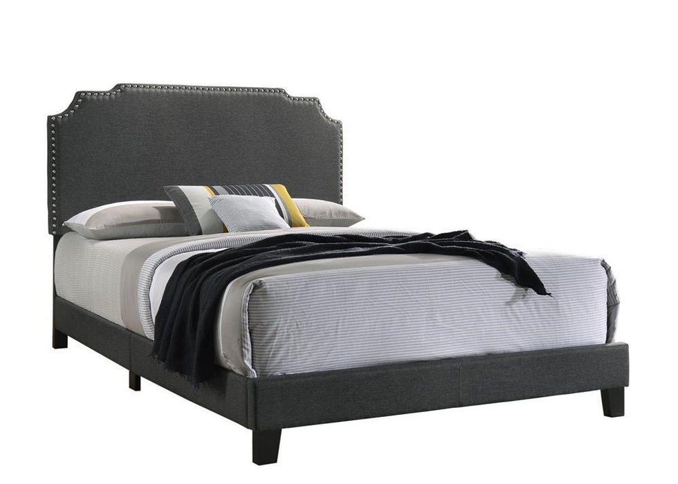 Tamarac Upholstered Nailhead Full, Eastern King & Queen Bed Beige & Grey - Imperial Furniture (Las Vegas, NV) - Multi Location