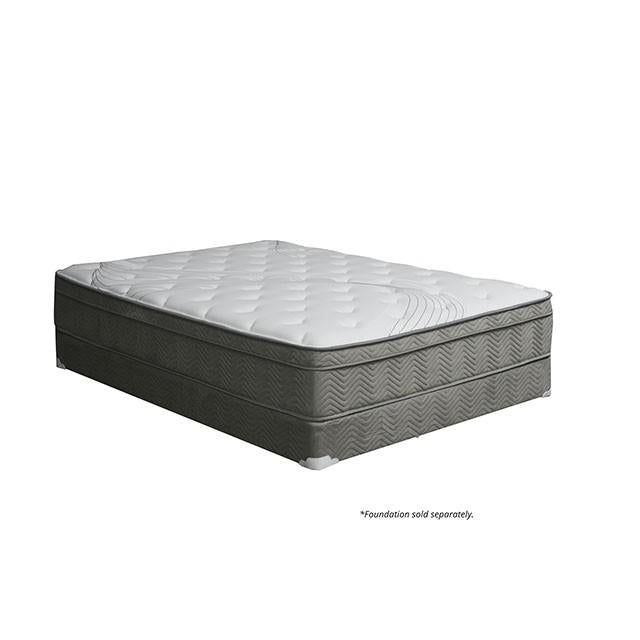 Afton 12 Euro Box Pocket Coil - Imperial Furniture (Las Vegas, NV) - Multi Location