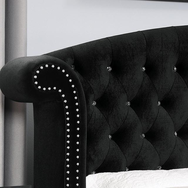 Zohar Bed Black & Pink - Imperial Furniture (Las Vegas, NV) - Multi Location