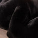 Caparica Black Throw, Black - Imperial Furniture (Las Vegas, NV) - Multi Location