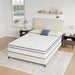 Catmint 10" Full Innerspring Mattress - Imperial Furniture (Las Vegas, NV) - Multi Location