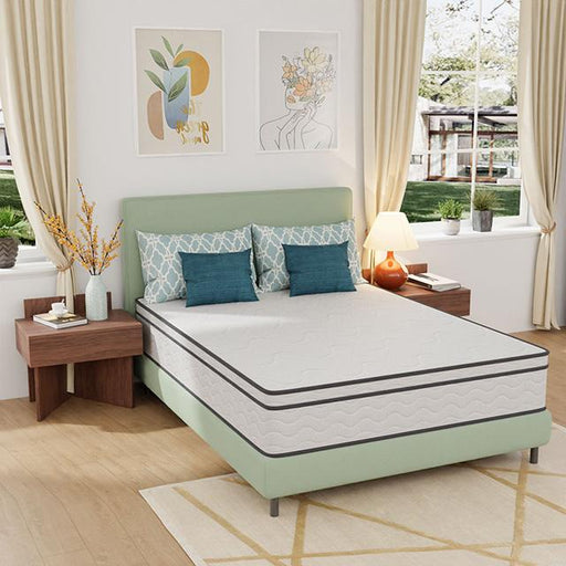 Catmint Mattress - Imperial Furniture (Las Vegas, NV) - Multi Location