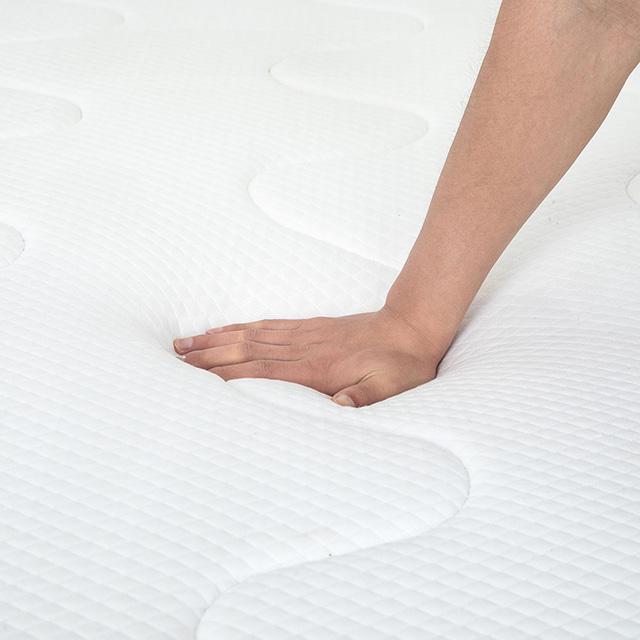 Catmint Mattress - Imperial Furniture (Las Vegas, NV) - Multi Location