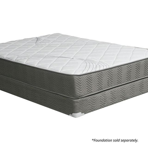 EDREA White/Gray 10" Tight Top Pocket Coil, Queen - Imperial Furniture (Las Vegas, NV) - Multi Location