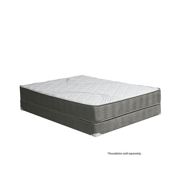 EDREA White/Gray 10" Tight Top Pocket Coil, Full - Imperial Furniture (Las Vegas, NV) - Multi Location