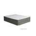 EDREA White/Gray 10" Tight Top Pocket Coil, Full - Imperial Furniture (Las Vegas, NV) - Multi Location