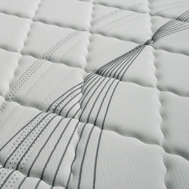 EDREA White/Gray 10" Tight Top Pocket Coil, Queen - Imperial Furniture (Las Vegas, NV) - Multi Location