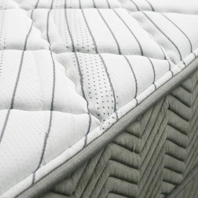 EDREA White/Gray 10" Tight Top Pocket Coil, Full - Imperial Furniture (Las Vegas, NV) - Multi Location