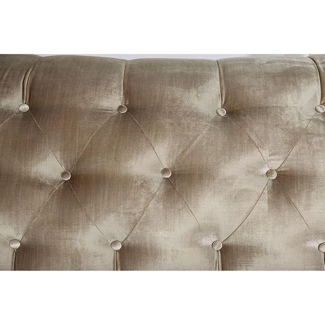 ELICIA Sofa - Imperial Furniture (Las Vegas, NV) - Multi Location