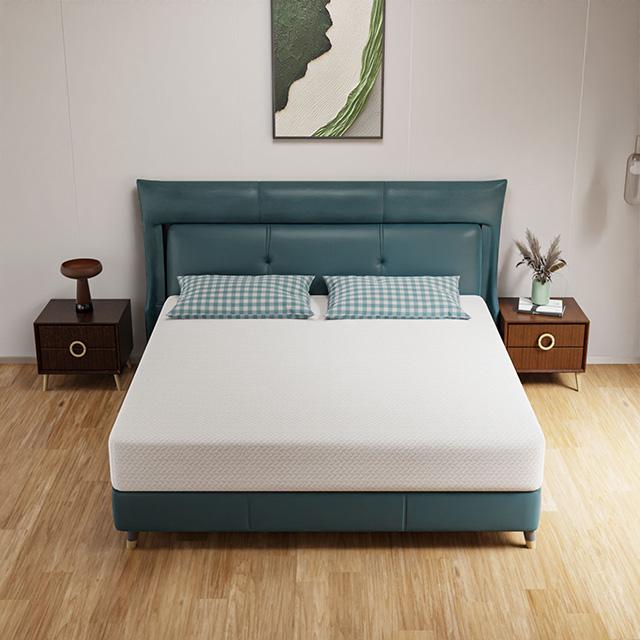 Forsythia 10" E.King Green Tea Gel Memory Foam - Imperial Furniture (Las Vegas, NV) - Multi Location