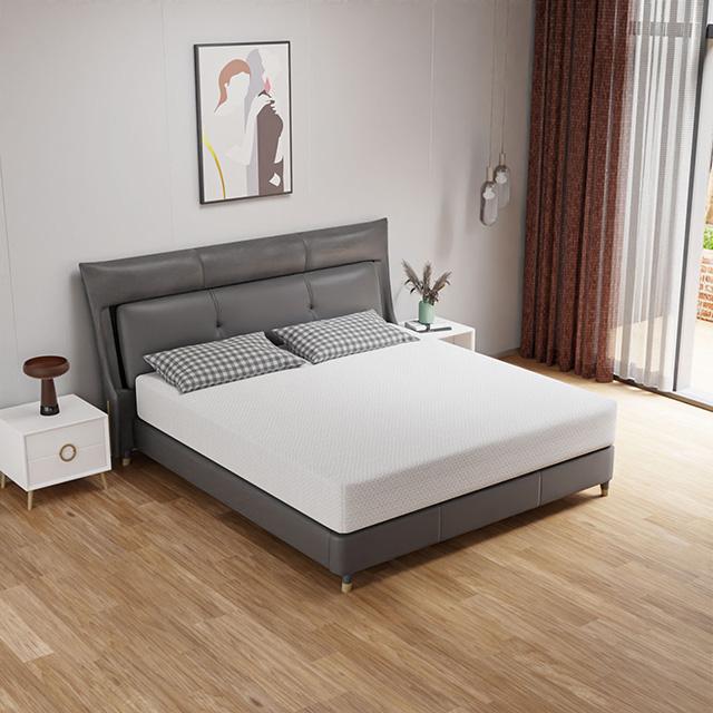 Forsythia 10" Queen Green Tea Gel Memory Foam - Imperial Furniture (Las Vegas, NV) - Multi Location