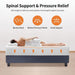 Forsythia 12" E.King Green Tea Gel Memory Foam - Imperial Furniture (Las Vegas, NV) - Multi Location