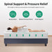 Forsythia 12" Queen Green Tea Gel Memory Foam - Imperial Furniture (Las Vegas, NV) - Multi Location