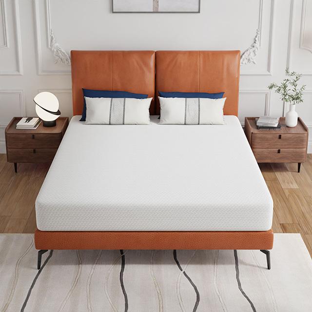 Forsythia 8" Queen Green Tea Gel Memory Foam - Imperial Furniture (Las Vegas, NV) - Multi Location