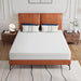 Forsythia 8" Queen Green Tea Gel Memory Foam - Imperial Furniture (Las Vegas, NV) - Multi Location