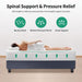 Forsythia Mattress - Imperial Furniture (Las Vegas, NV) - Multi Location
